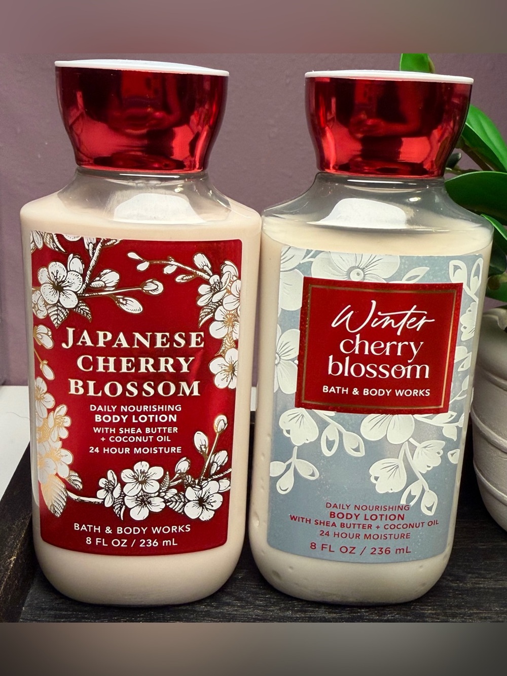 Brand New Bath & Body Works Japanese Cherry Blossom Body Lotion Lot of 2